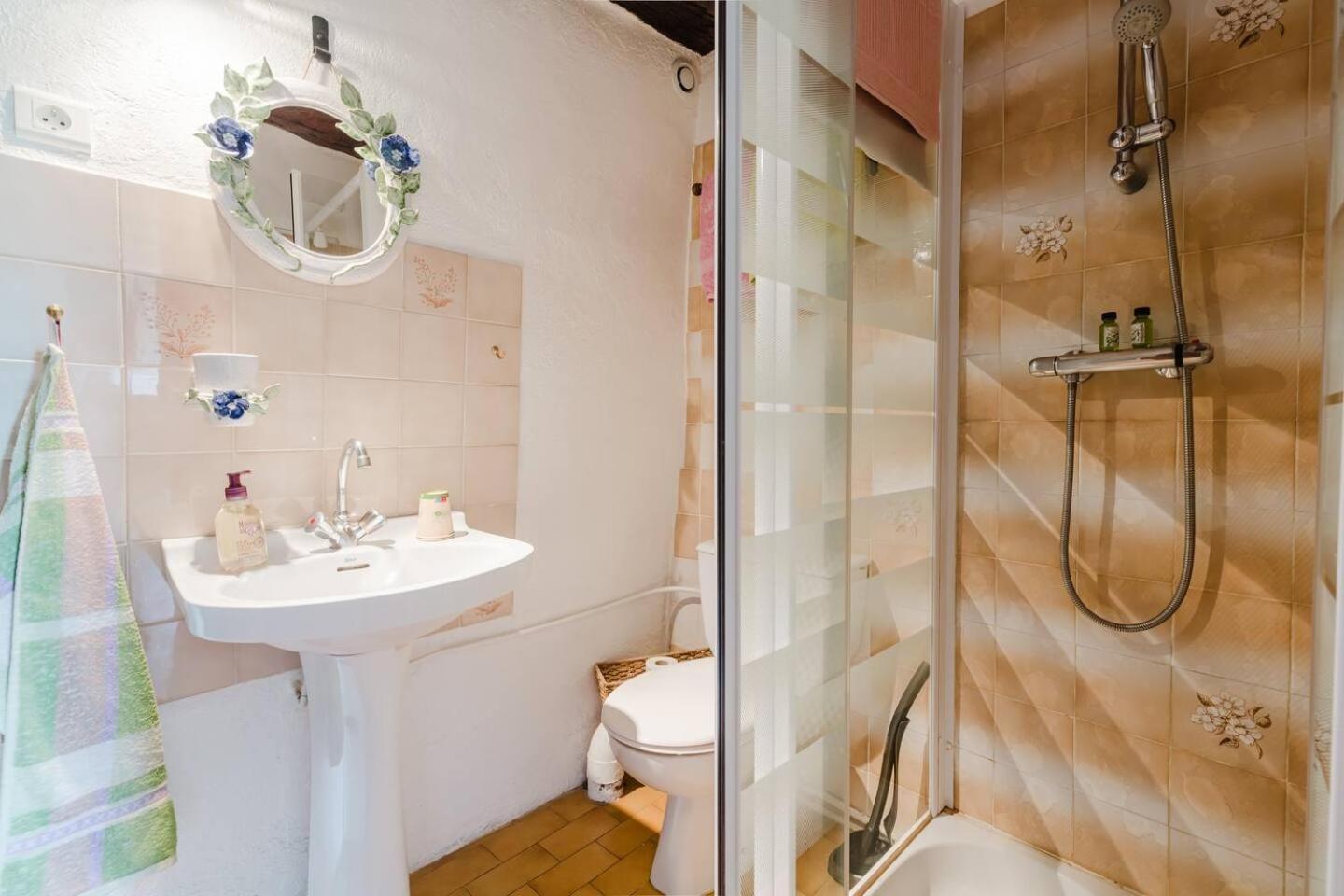 Chambres D'Hotes - La Maison De Julie Entrevaux Exteriér fotografie
